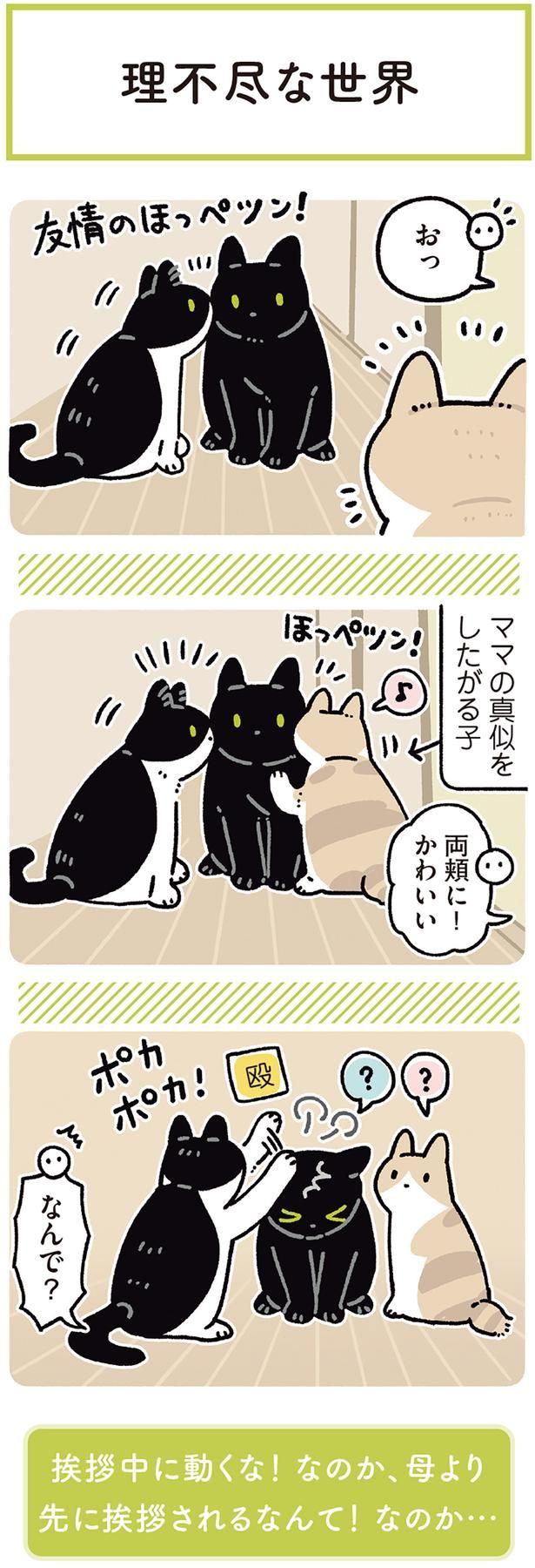友情のほっぺツン！ （C）AKR／KADOKAWA
