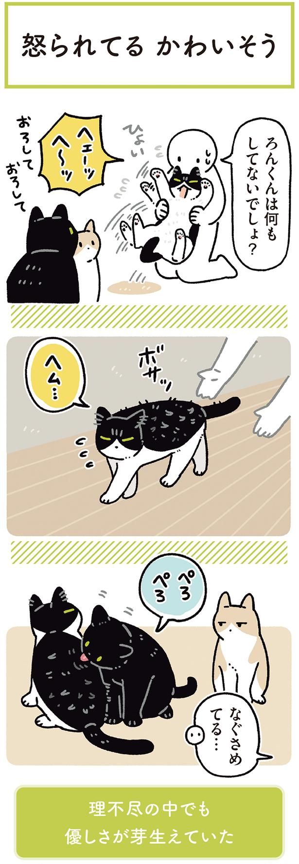 なぐさめてる… （C）AKR／KADOKAWA