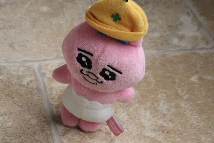黄色い帽子のピンクのぬいぐるみが自立