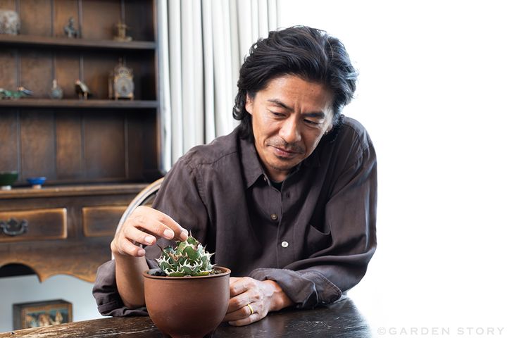 アガベの鋸歯を愛でる森田剛