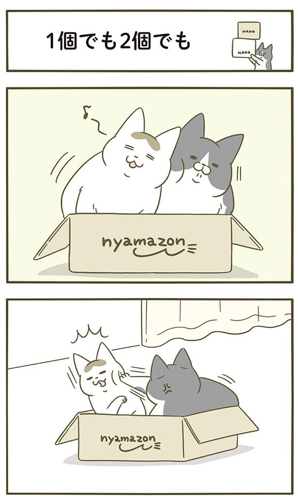1個でも2個でも （C）卵山玉子／KADOKAWA