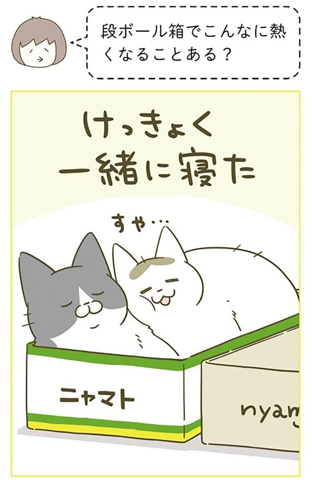 段ボール箱でこんなに熱くなることある？ （C）卵山玉子／KADOKAWA