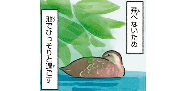 池でひっそりと過ごす （C）piro piro piccolo／KADOKAWA
