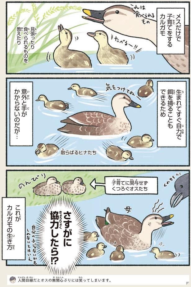 さすがに協力したら！？ （C）piro piro piccolo／KADOKAWA