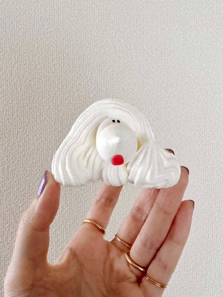 手土産に選びたいかわいすぎるスイーツギフト2026♡ 横浜・フランス菓子メーテルリンクのメレンゲクッキー【ささやかですてきなもの 大谷有紀 vol.303】