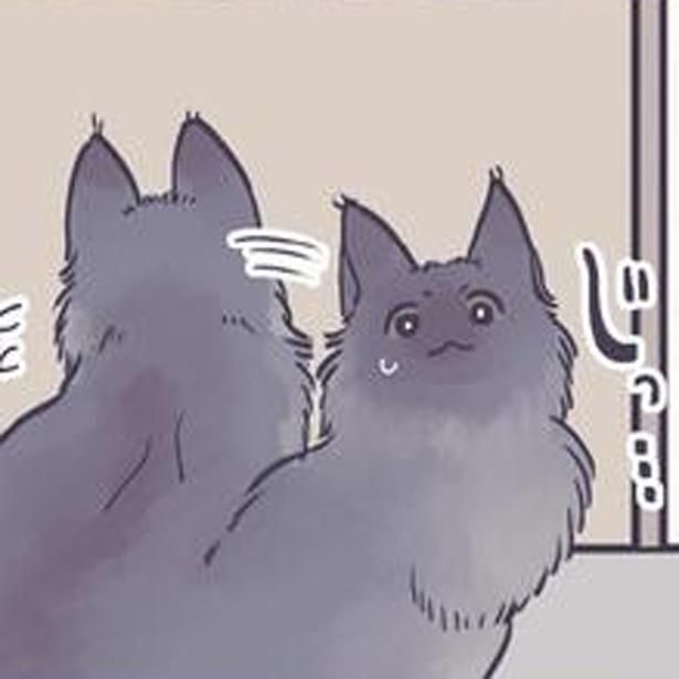飼い猫が心配してる!? （C）るしこ／KADOKAWA