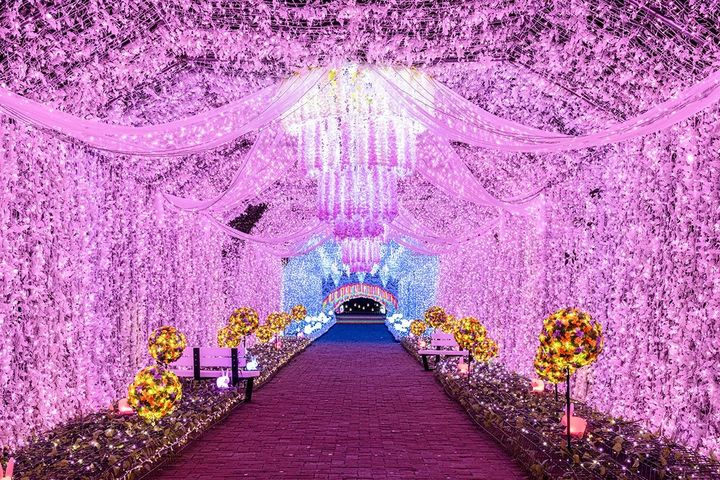 「雲の中の道」の光のトンネル