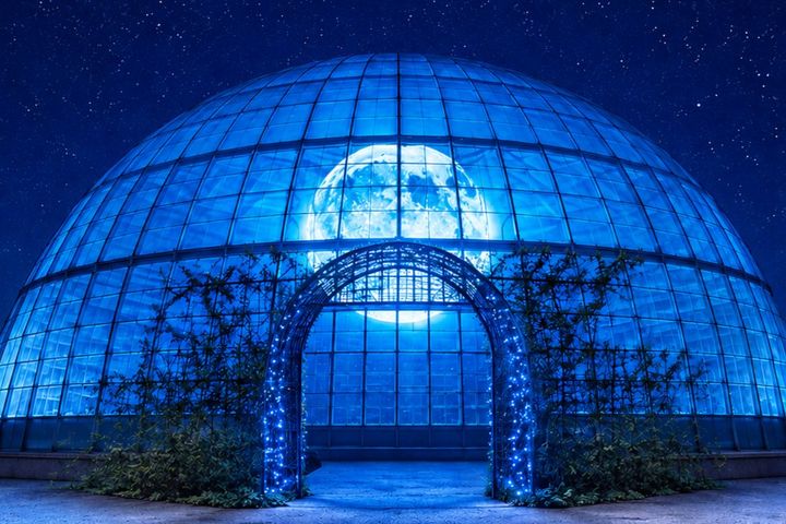 「Good Night Dome」の外観