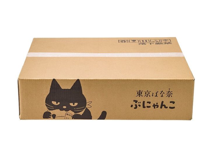 東京ばな奈ぶにゃんこ グッズコンプリートセットの段ボール