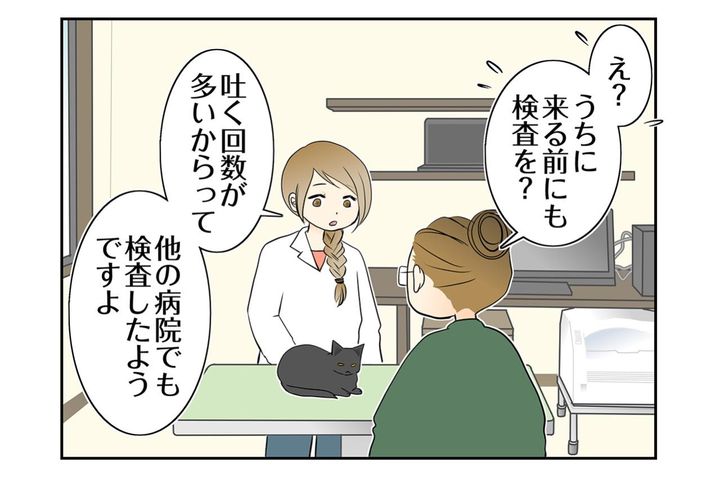 【マンガ・老猫日誌＃110】長い目で見てあげてください、と言われた日〜思い出の老猫日誌・桃姐と小論