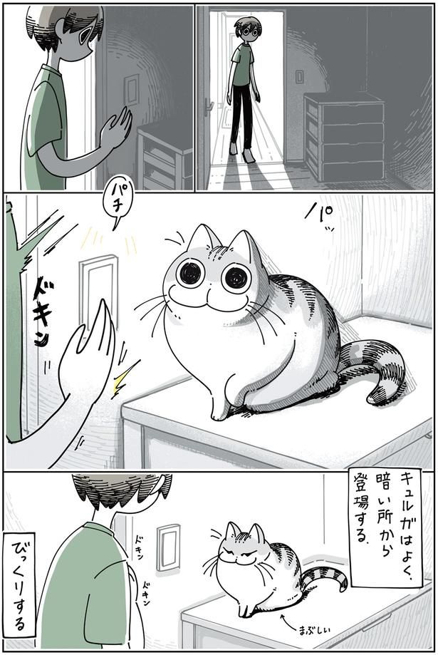 ネコにびっくりする （C）キュルZ／KADOKAWA