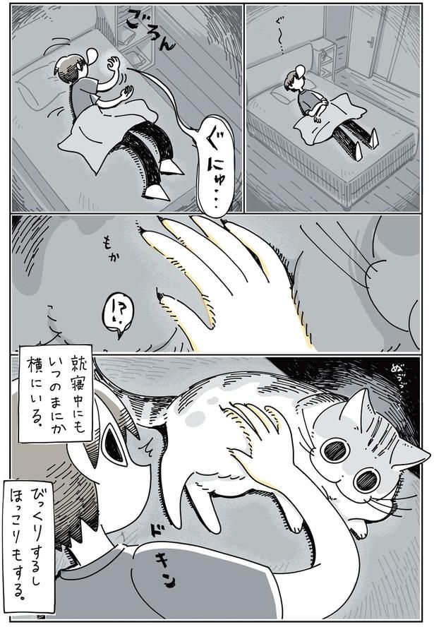 就寝中にもいつのまにか横にいる （C）キュルZ／KADOKAWA