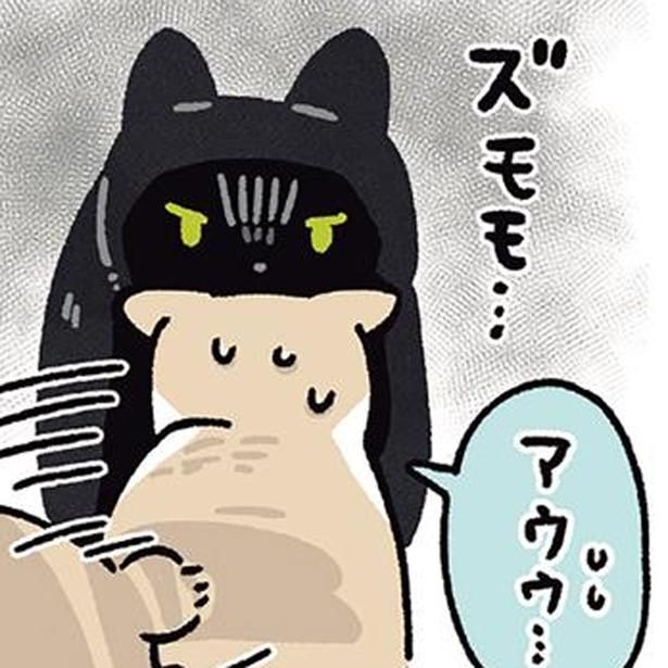 怒る黒猫ろん （C）AKR／KADOKAWA