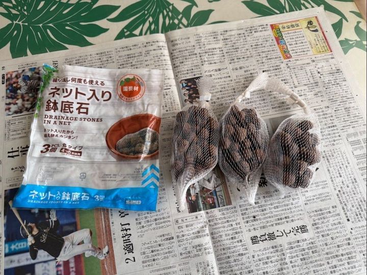 「圧倒的なコスパ」で育てる楽しさと癒し
