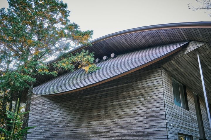 曲線を描く木製屋根の建物外観