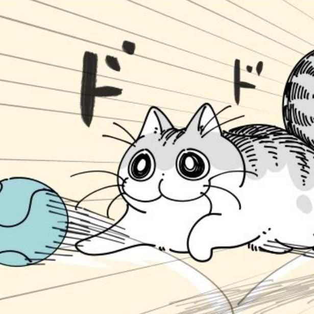 猛スピードでボールを取りに行く猫 画像提供：キュルZ@kyuryuZ
