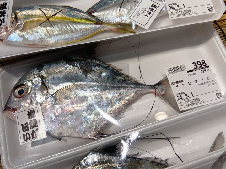 今回、私が気になったのは「イトヒキアジ」！お魚の目利きポイントをこちらの魚で紹介してみますね！