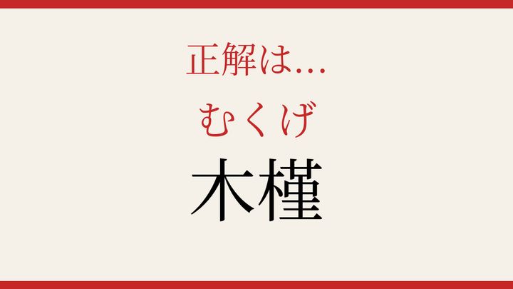 【難読漢字】パッと読めたら自慢できる！夏の庭を彩る花の解答画像