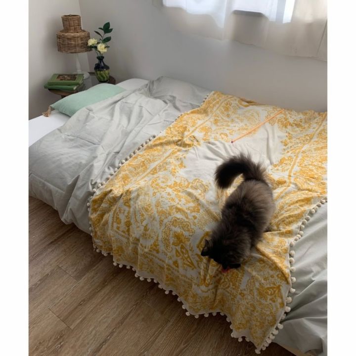 保護猫ヘムヘム
