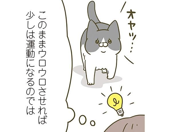 少しは運動をさせねば！ （C）卵山玉子／KADOKAWA