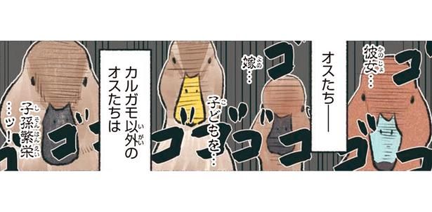 カルガモ以外のオスたちは （C）piro piro piccolo／KADOKAWA