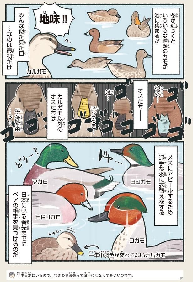 地味！！ （C）piro piro piccolo／KADOKAWA