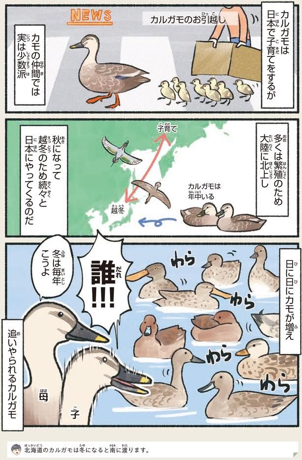 誰！！！ （C）piro piro piccolo／KADOKAWA