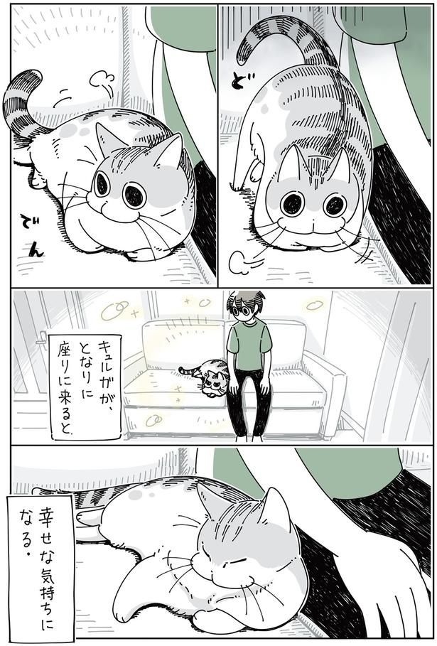 幸せな気持ちになる。 （C）キュルZ／KADOKAWA