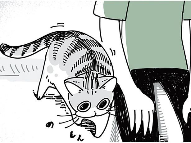 隣に来てくれた猫 （C）キュルZ／KADOKAWA