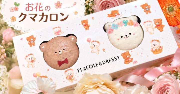 お花のクマカロン ココア味・いちご味の2個セット
