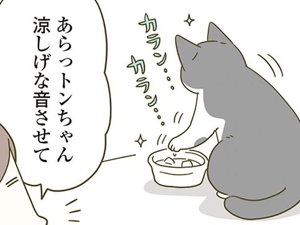 猫用の水に氷を入れてみたら （C）卵山玉子／KADOKAWA