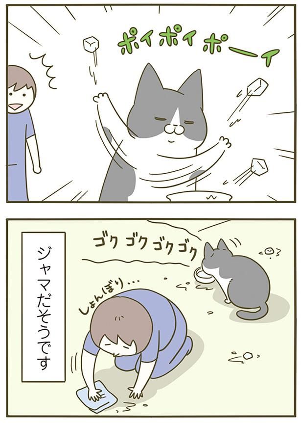 ポイポイポーイ （C）卵山玉子／KADOKAWA