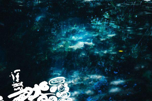 奄美群島の3酒蔵が設立した黒糖焼酎の新ブランド「Discover AMAMI Spirits」が新登場。GINZA SIXでPOP UP STOREオープン