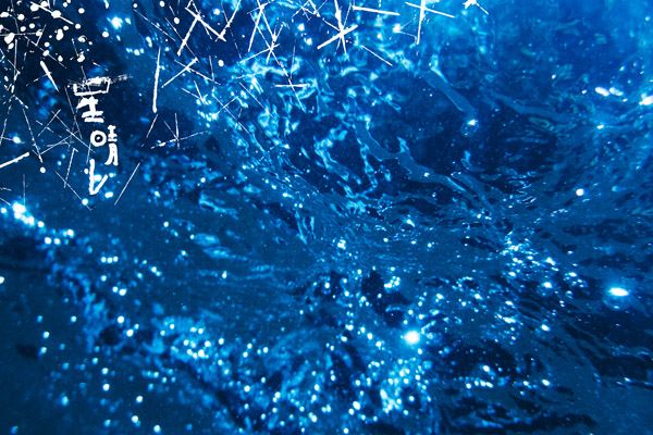 奄美群島の3酒蔵が設立した黒糖焼酎の新ブランド「Discover AMAMI Spirits」が新登場。GINZA SIXでPOP UP STOREオープン