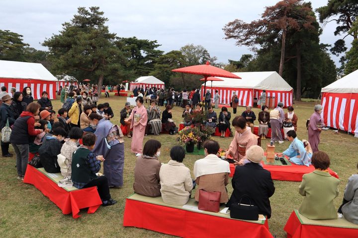 野点会場の全景
