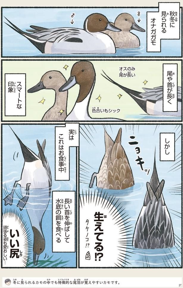 これはお食事中 （C）piro piro piccolo／KADOKAWA