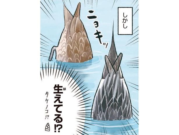 生えてる！？ （C）piro piro piccolo／KADOKAWA