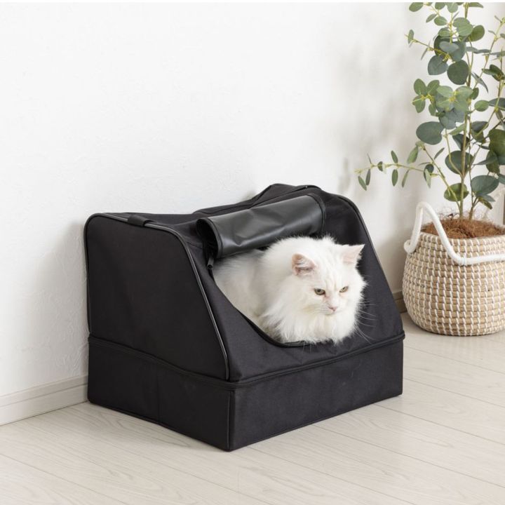 もしもの時、愛猫を守るために。今日から慣らしておきたい防災アイテム5つ【猫のための日用品】