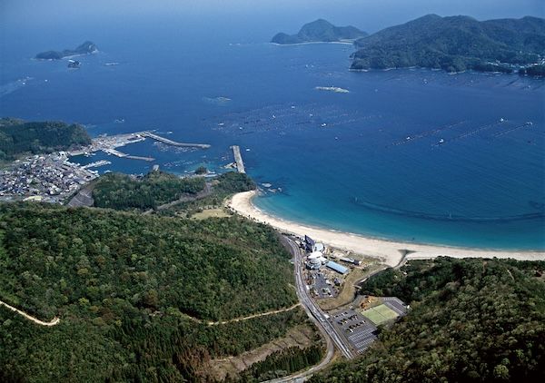 【宮崎県延岡市】延岡の海の幸を使ったポップアップ「お魚 のべおカフェ」が今年も渋谷にOPEN