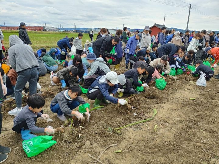 第39回 さといもまつり
