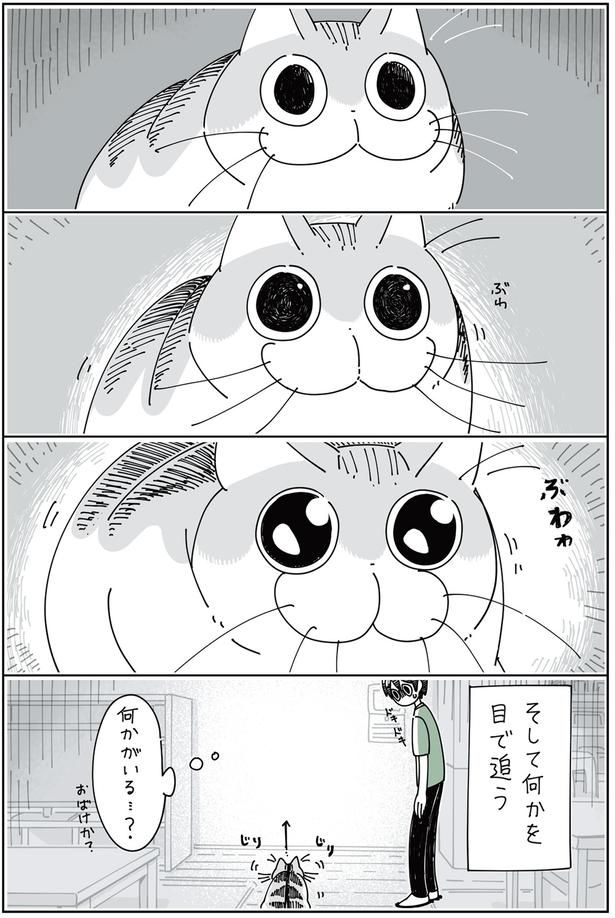 そして何かを目で追う （C）キュルZ／KADOKAWA