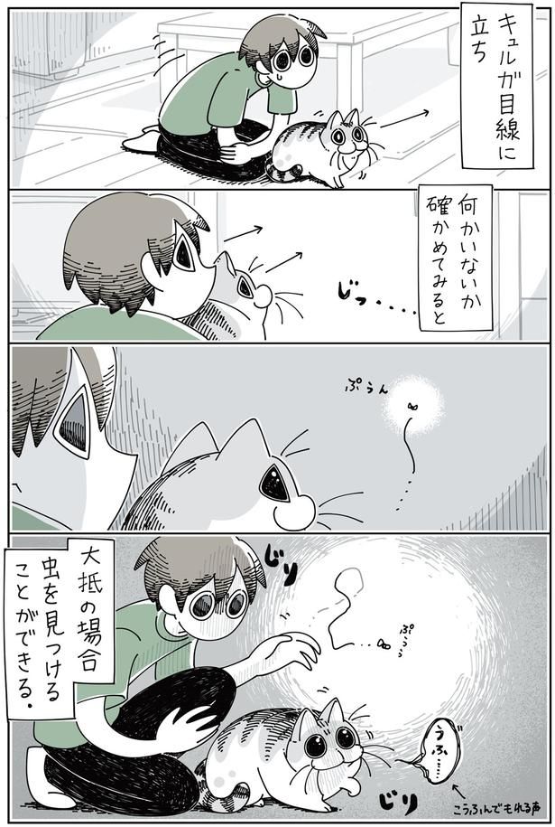 何かいないか確かめてみると （C）キュルZ／KADOKAWA