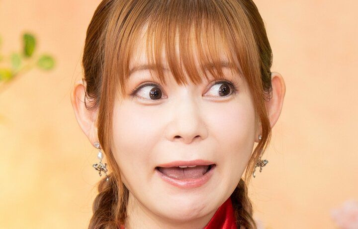 【写真・画像】40歳で双子を出産・中川翔子、“ぐちゃぐちゃ”な自宅を公開「片付けたと思ったら…」 1枚目