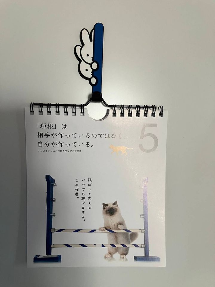 ダイソー：ニャン！とも素敵な日めくり名言カレンダー
