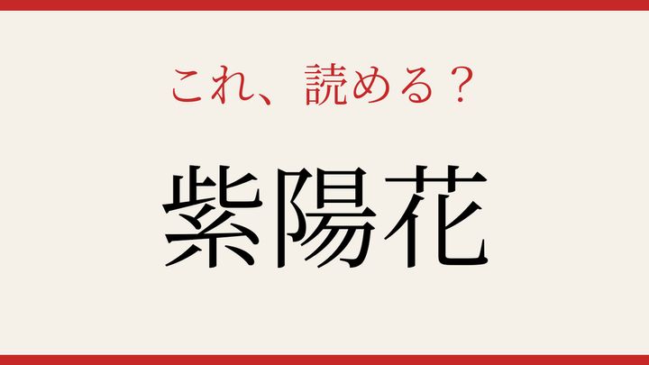 【難読漢字】読めたら周りに自慢しよう！梅雨の季節を彩る花の問題画像