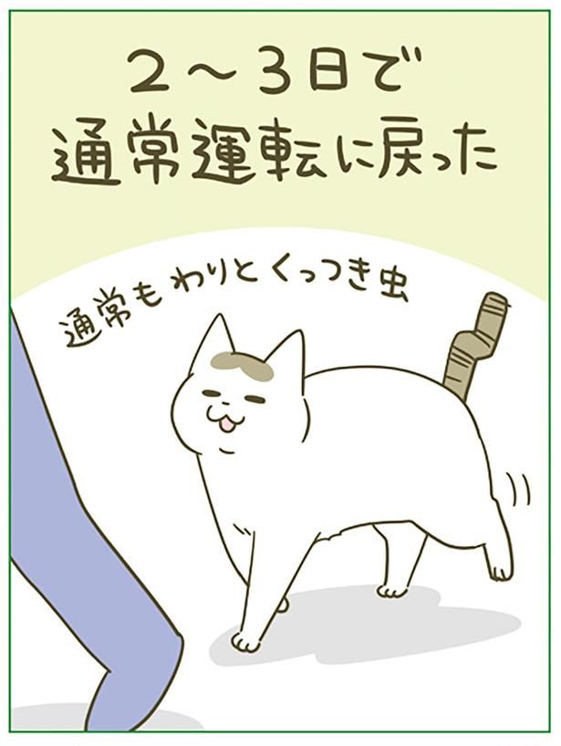 通常運転に戻った （C）卵山玉子／KADOKAWA