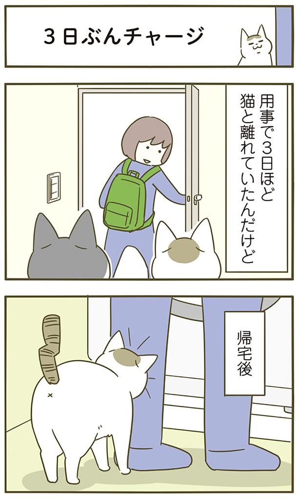 3日分チャージ （C）卵山玉子／KADOKAWA