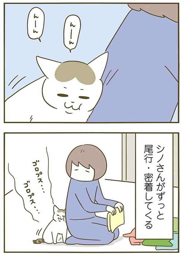 尾行・密着 （C）卵山玉子／KADOKAWA