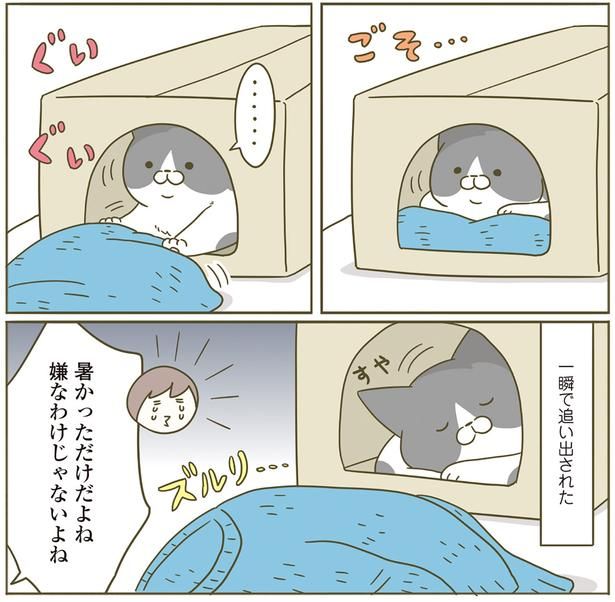 一瞬で追い出された （C）卵山玉子／KADOKAWA