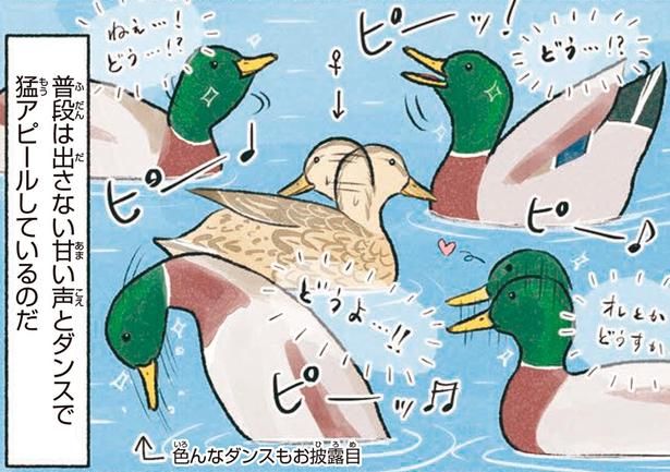 普段は出さない甘い声とダンスで猛アピールしているのだ （C）piro piro piccolo／KADOKAWA